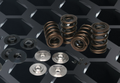 Ferrea Performance Valve Spring Kit, For BMW M50/M52/S50/S52